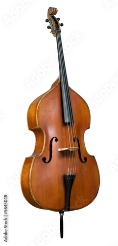 violoncello