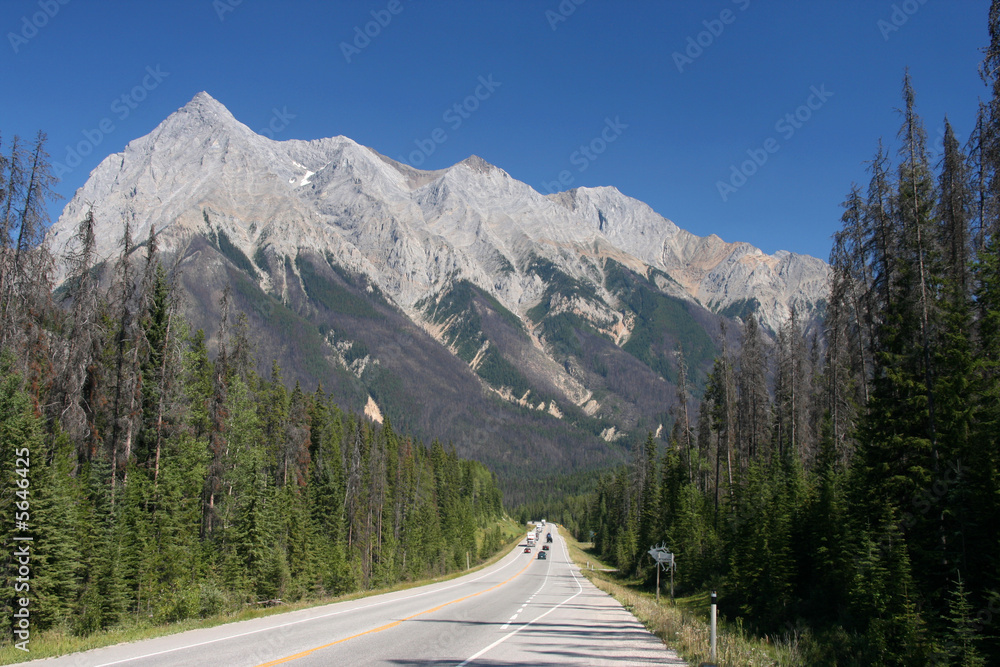 Straight scenic road in British Columbia, Canada