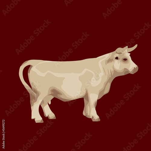vaca