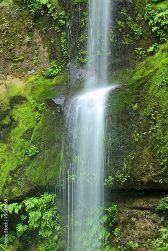Elk Creek Falls  Oregon