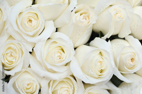 Wedding bridal bouquet of white roses close-up