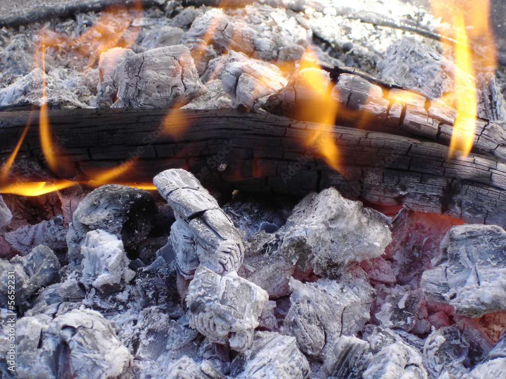 Hot Flames and White Ashes of Black Burned Wooden Logs Hot Flames and White Ashes of Black Burned Wooden Logs
