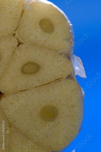 Close up open garlic with blue background