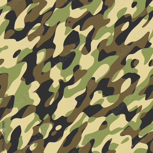 camouflage