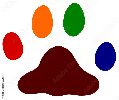 pata