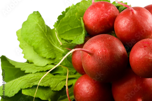 Bunch of radishes isolated on white background