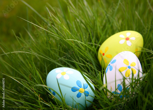 Painted Colorful Easter Eggs in Grass