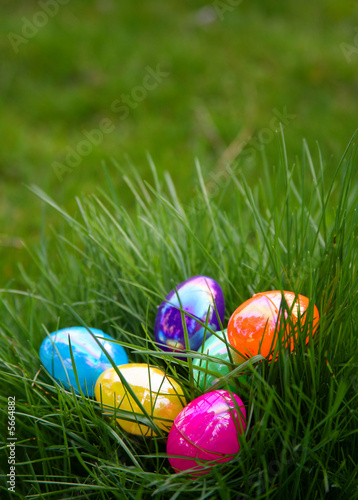 Plastic Colorful Easter Eggs in Grass