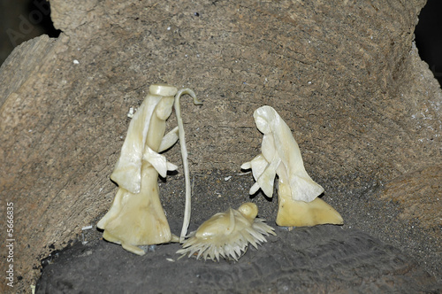 Photos crèche