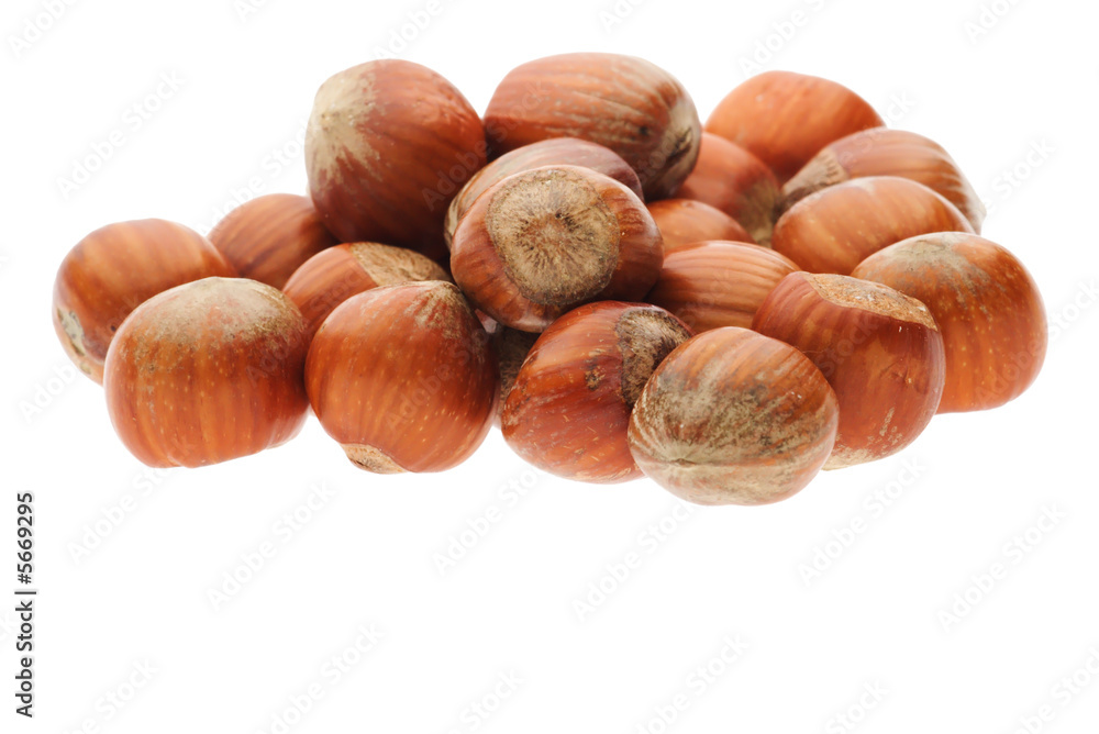 heap of shelled hazelnuts isolated on white heap of shelled hazelnuts isolated on white