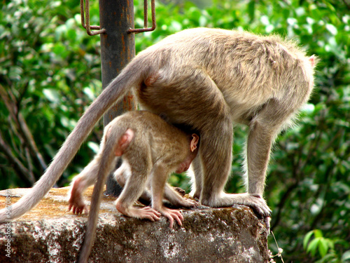 Mothers Shelter