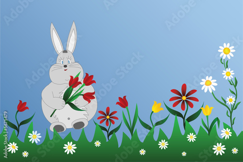 hare