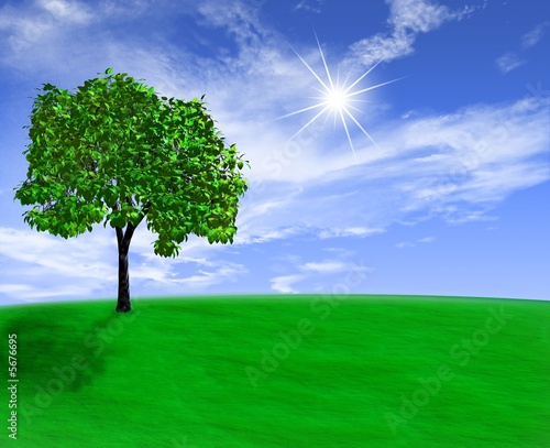 Single 3D rendered tree in beautiful green meadow