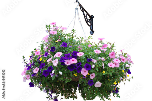 Flower basket isolated on white