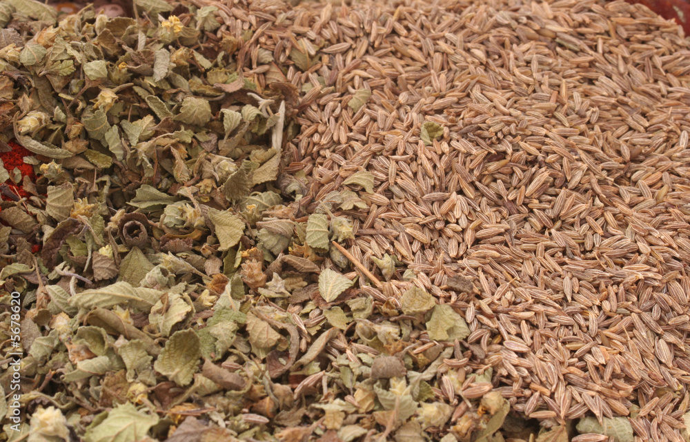 Mexican Oregano and Cumin Seed With Paprika, Close-up