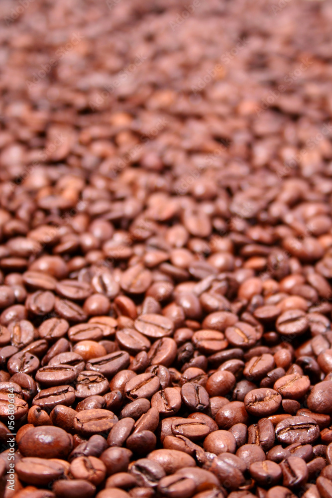 Fototapeta premium Fried coffee grain