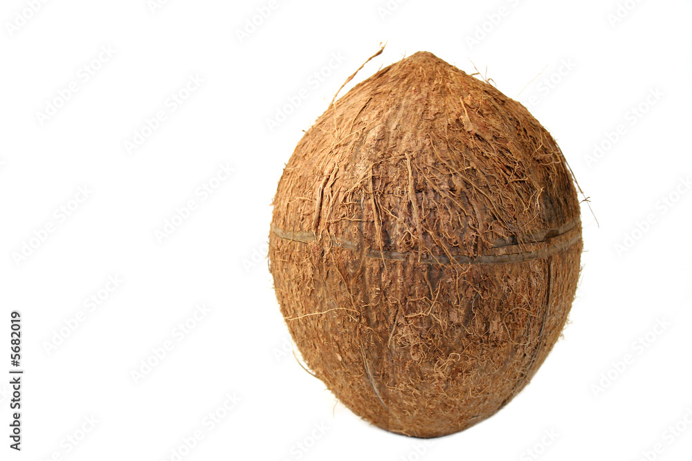 Coconut Coconut