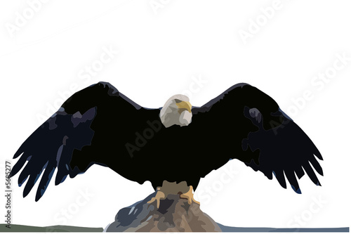 águia