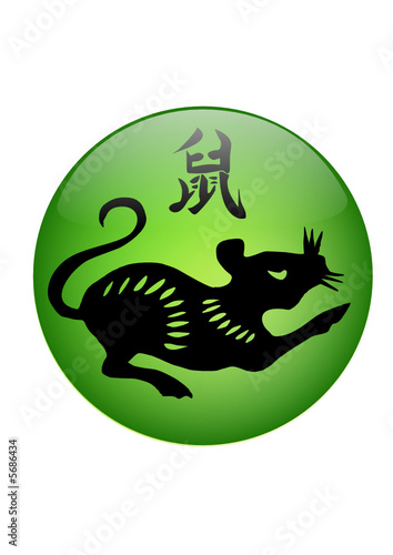 année du rat