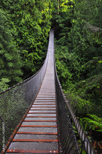 Lynn canyon supension bridge, Vancouver © Ron Greer
