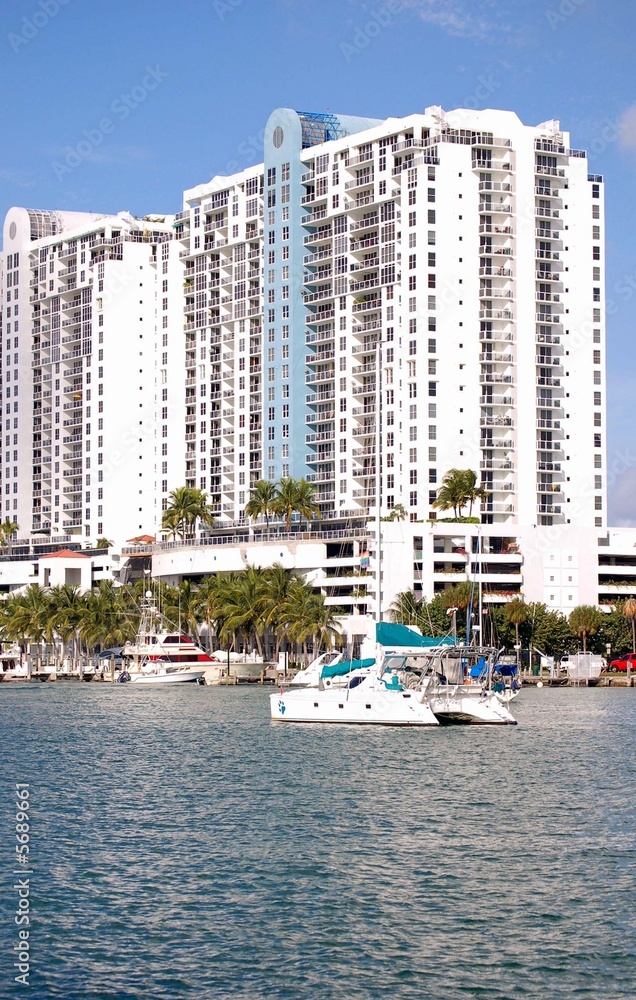 Naklejka premium white Sail Catamaran