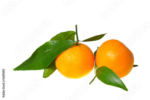 two tangerines isolated on white background