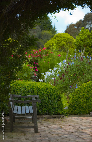 Old wooden bench in the shadow of tree in the lush flower garden
