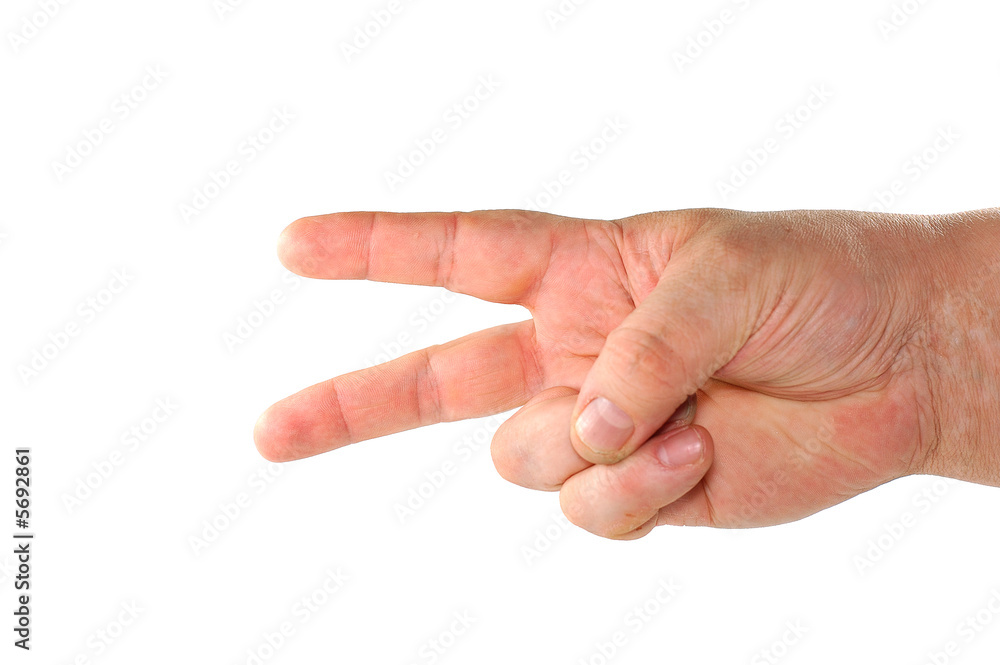 Hand isolated on a white background.. Hand isolated on a white background..