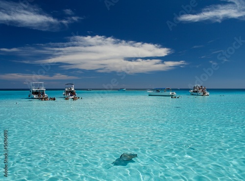 Stingray City