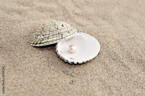 Pearl in shell on sand