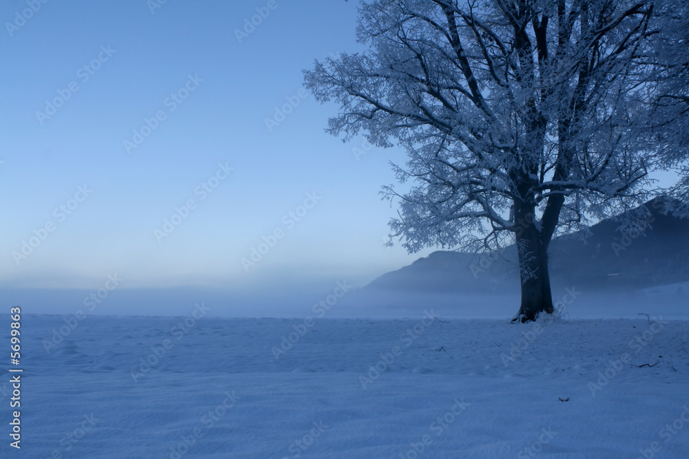 Winter scene 12 Winter scene 12