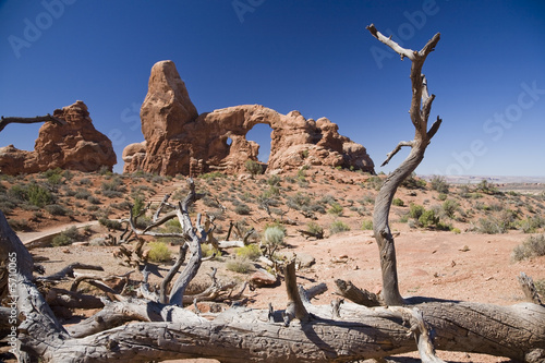 Stump and Turret Arch - Arches National Park