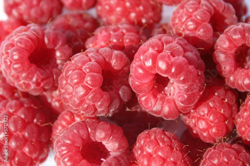 Himbeeren photo