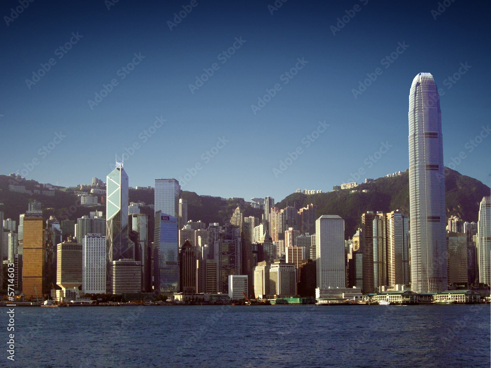 Fototapeta premium Hong Kong Skyline (View from Tsim Sha Tsui / Kowloon)