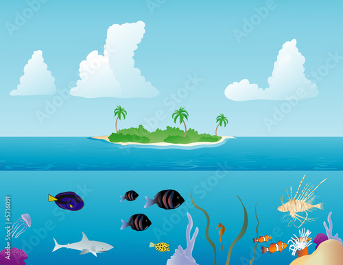 Various tropical fish swimming around on a reef 