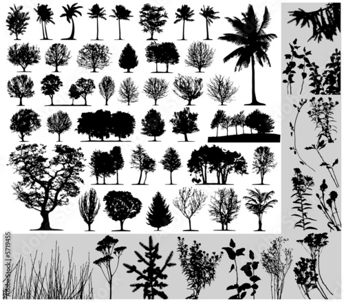 Trees, grass, plant vector on white background