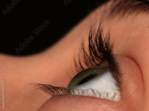Eye Macro Shot