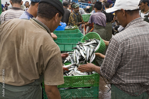 Maroc,Agadir, port : chargement des poissons