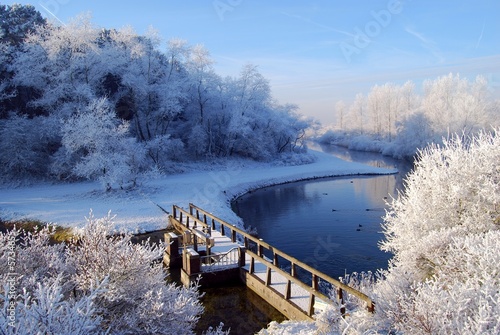 Bridge lake forest snow and blue sky