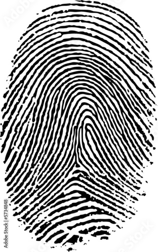 Vector format of finger print.