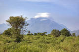 Kenya : parc Tsavos : épineux, montagne et nuage