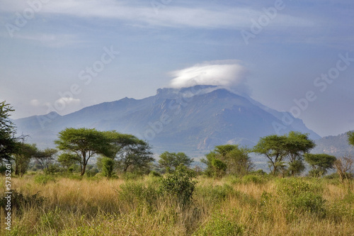 Kenya : parc Tsavos : épineux, montagne et nuage © JONATHAN