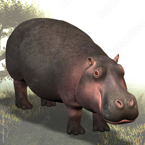 Rendered Image of a Hippo - with Clipping Path