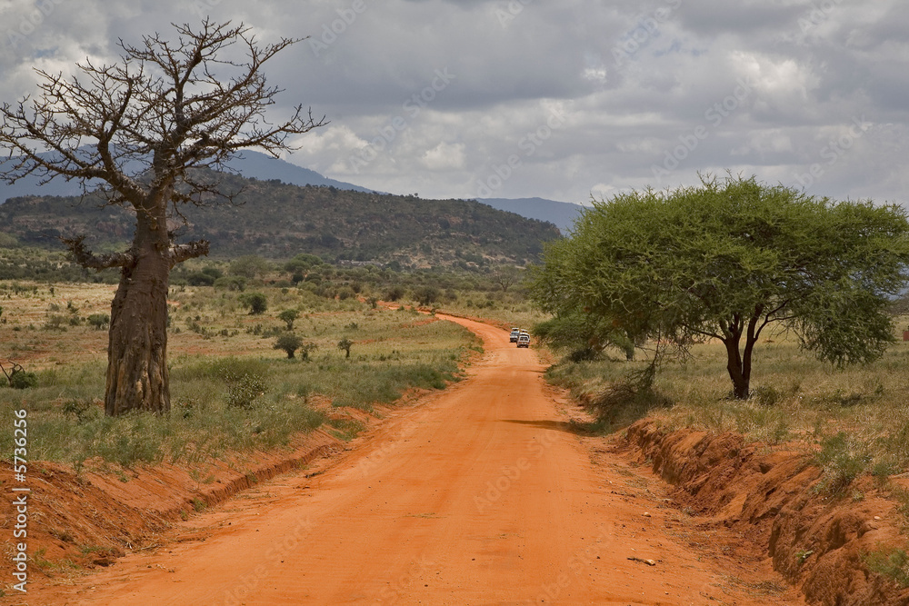 Kenya : parc Tsavos : piste