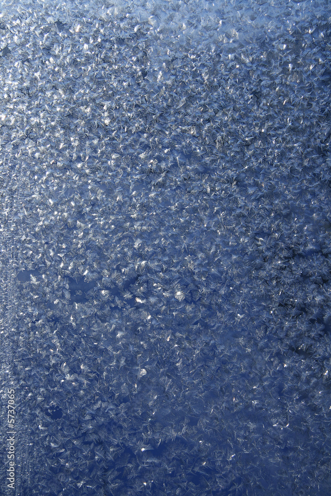 The Freezing patterns on windowpanes. The Freezing patterns on windowpanes.