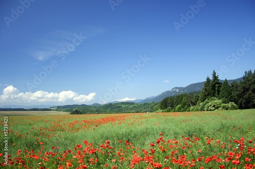 field under mountains western Tatry Europe