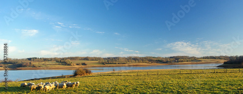 landscape 4
