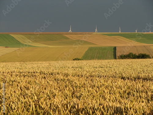 Agriculture et energie photo