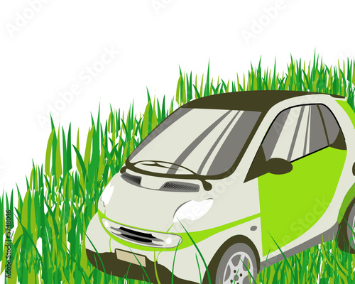 SMART sur pelouse