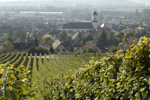 vignoble de marlenheim en alsace